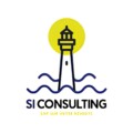 Si consulting