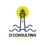 Si consulting